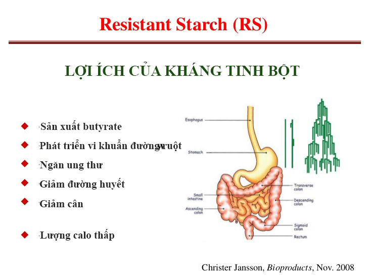 Nguồn gốc của resistant starch