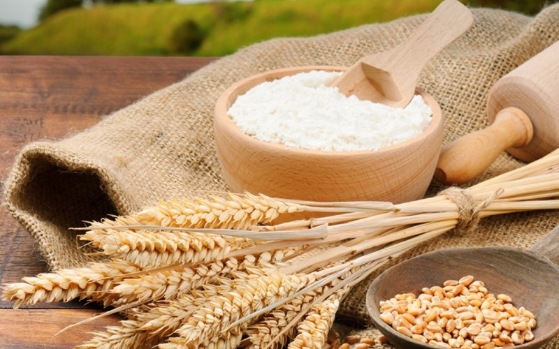 Bột mì được làm từ cây lua mì, khác lúa gạo ở Việt Nam